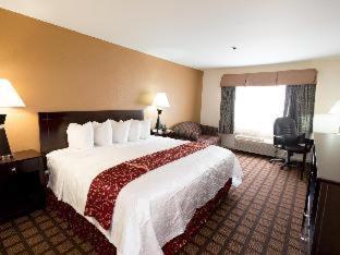 Best Western Oakbrook Inn Oakbrook Terrace Room photo
